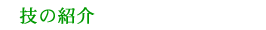 Z̏Љ